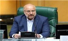 قالیباف: ایران آماده است در قبال رفع تحریم‌ها، ضمن حفظ غنی‌سازی در خاک خود، اعتمادسازی لازم را برای اثبات صلح‌آمیز بودن فعالیت‌های هسته‌ای انجام دهد