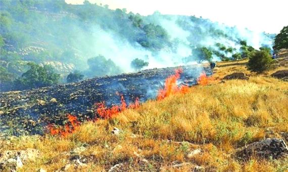 غم‌نامه جنگل‌های زاگرس سردشت