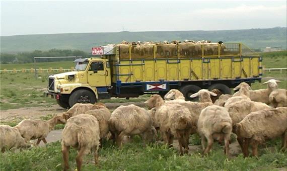 عشایر استان اردبیل از کوچ زودهنگام خودداری کنند