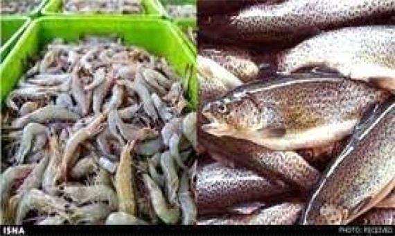 افزایش تولید آبزیان در اردبیل به 600 تن تولید