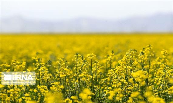 اخبار کوتاه از شمال آذربایجان غربی