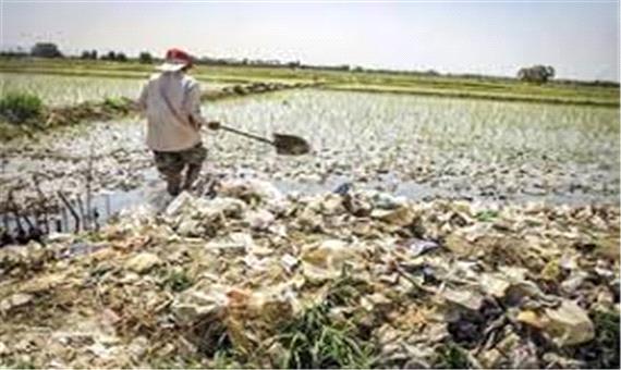 از شایعه تا واقعیت آبیاری زمین های کشاورزی غرب تبریز با فاضلاب