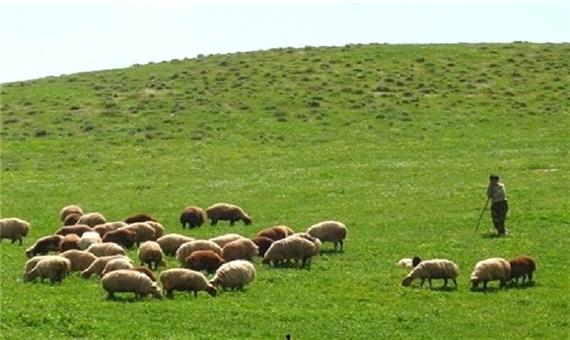 جلوگیری از تخریب مراتع و منابع طبیعی مستلزم مشارکت همگانی است