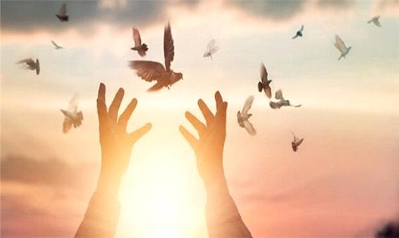 اجرای پویش «نذر رهایی» برای آزاد‌سازی زندانیان غیر‌عمد در زنجان