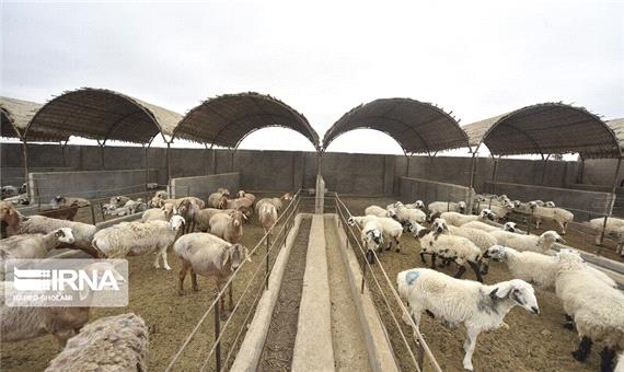 چشم‌انداز اشتغال روستایی استان اردبیل؛ آیا روستاییان باز می‌گردند؟