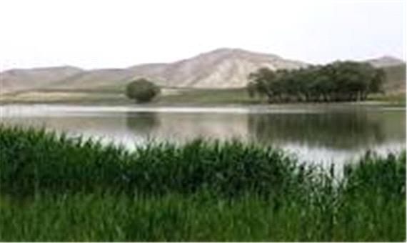 قوری گل رمق‌های آخر را می‌زند