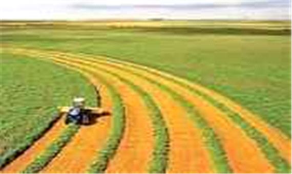 تجهیز 52 درصد از مزارع چغندرقند آذربایجان‌غربی به سیستم آبیاری نوین