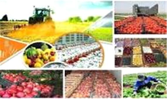 افزایش صادرات محصولات کشاورزی در آذربایجان شرقی