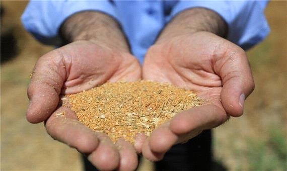 کشت رو به رشد «کاملینا» در جنوب آذربایجان‌شرقی