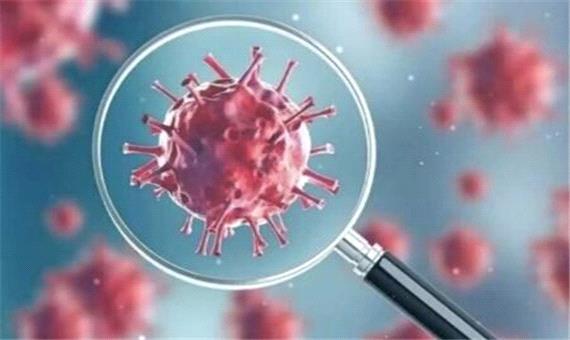 افزایش آرام کرونا در کشور/ طغیان سویه‌های قدیمی یا ظهور سویه جدید؟