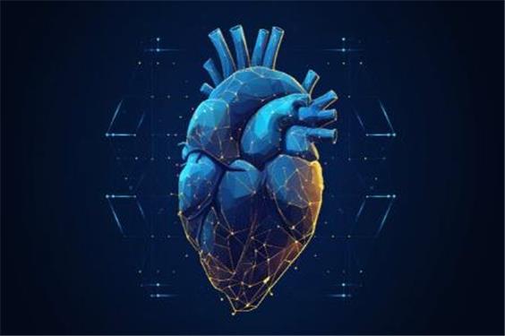 هوش مصنوعی، بیماری قلبی را از ویدئوی ضربان قلب تشخیص می‌دهد