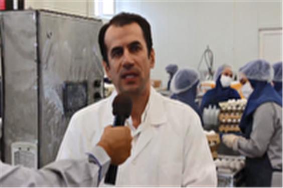 صادرات بیش از چهار هزار تن تخم‌مرغ از آذربایجان شرقی