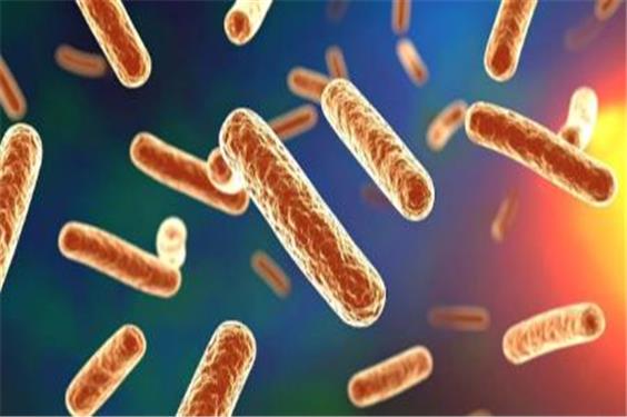 شیوع بیماری لژیونر در نیویورک به 90 مورد رسید | 3 نفر کشته شدند