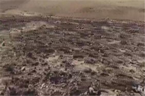 مهار آتش سوزی در مراتع کندوان و آشستان اسکو