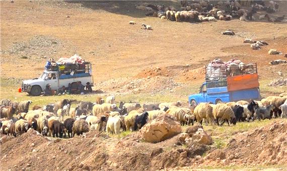 عشایر استان اردبیل 10 روز برای خروج از ییلاق‌ و کوچ پاییزه فرصت دارند