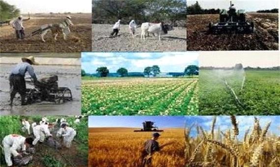 طرح استقرار کشاورزی پایدار در سطح 40 روستا ارومیه اجرا می شود