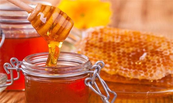 صادرات 85 درصد از تولیدات عسل آذربایجان غربی