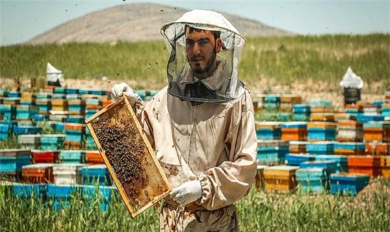 تولید سالانه 98 تن عسل در شهرستان سرعین
