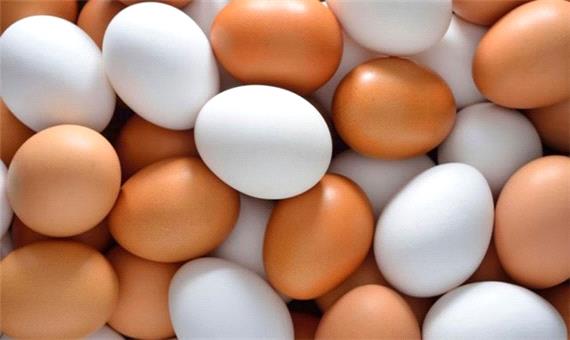 تولید 10 درصد کل تخم مرغ تولیدی کشور در آذربایجان‌شرقی