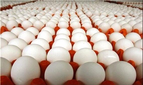 سالانه 97 هزار تن تخم‌مرغ در آذربایجان‌شرقی تولید می‌شود