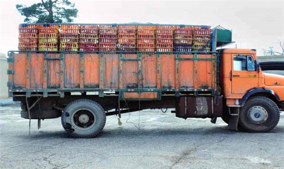 تغییر مقصد کامیون‌‌های حامل مرغ در میانه راه‌/ اختلاف قیمت به جیب دلالان می‌رود