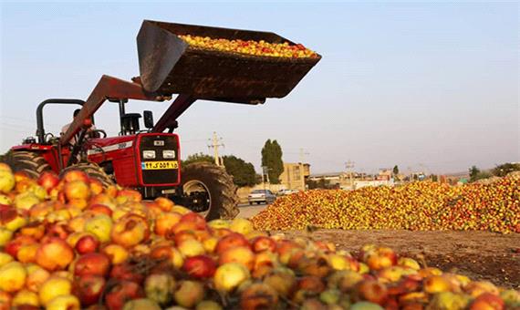 انباشت 300 هزار تن سیب در جاده‌های آذربایجان‌غربی