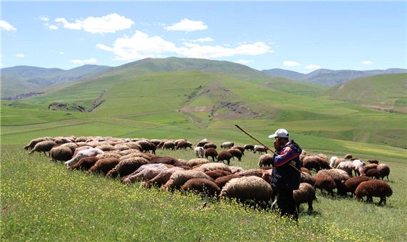 10 هزار خانوار عشایر آذربایجان غربی در بانک اطلاعاتی ثبت نام کردند