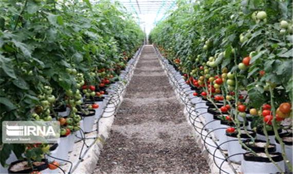 واحدهای کشاورزی و گلخانه ها تدابیر لازم در زمینه اُفت دما در آذربایجان غربی را به کار گیرند