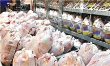 مهاباد دومین تولید کننده گوشت مرغ در آذربایجان غربی