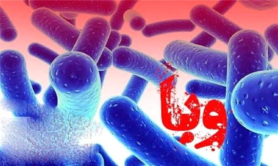 موردی از بیماری وبا در آذربایجان غربی مشاهده نشده است