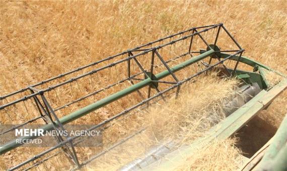 خرید گندم از کشاورزان آذربایجان شرقی 30 درصد افزایش یافت