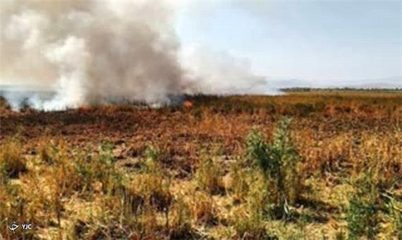 آتش‌سوزی در مراتع روستای گرده یعقوب مهاباد مهار شد