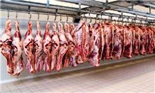 ثبات نسبی در قیمت تمام کالاهای اساسی به جز گوشت