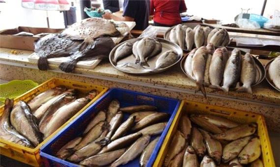 قیمت جدید ماهی در بازار/ میگو 200 هزارتومان شد
