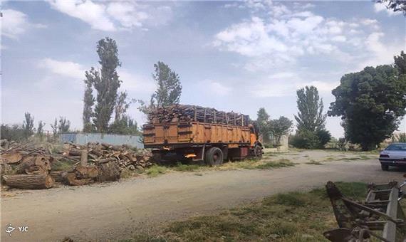 توقیف بیش از 11 تُن چوب قاچاق جنگلی در مهاباد