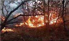 آتش‌سوزی در جنگل‌های ارسباران؛ از خاموشی تا استقرار بالگرد