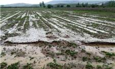 کشاورزی آذربایجان‌غربی در سال زراعی اخیر 21.6 هزار میلیارد ریال خسارت دید