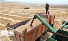 آذربایجان‌شرقی در جهش تولید دیم‌زارها رتبه دوم کشور را دارد