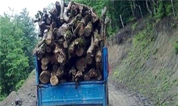 دستگیری دو نفر به اتهام قطع غیرمجاز درختان در حاشیه رودخانه ارس