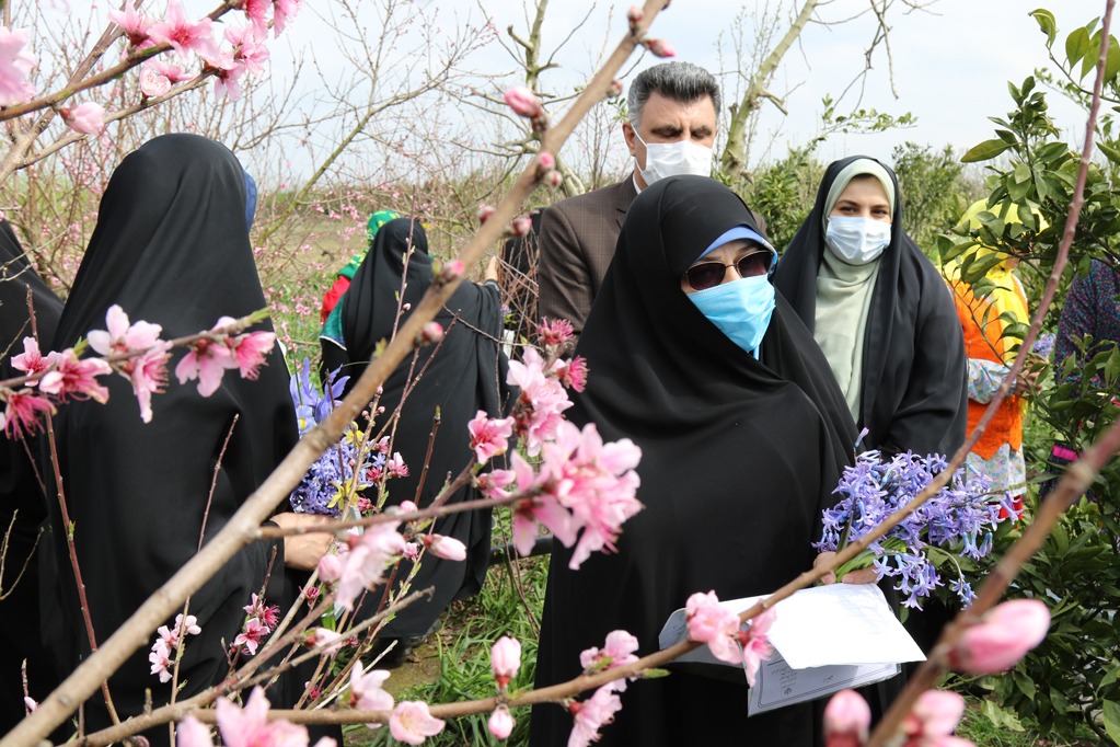 پیام آذری