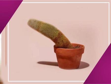 پیام آذری