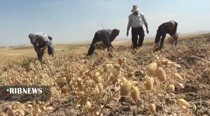 پیام آذری