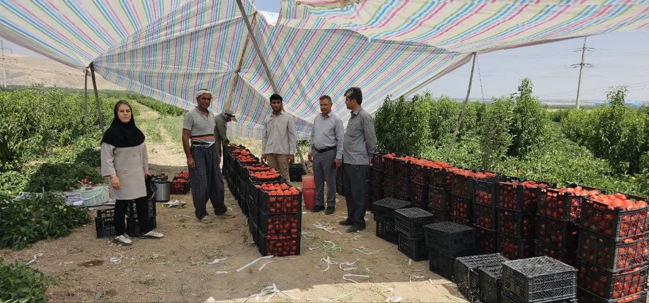 پیام آذری