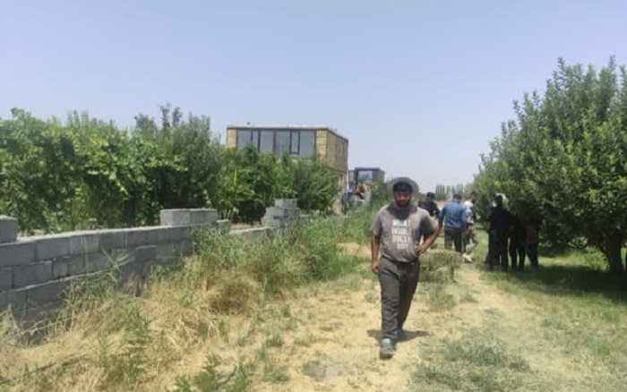 پیام آذری