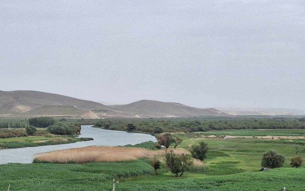 پیام آذری