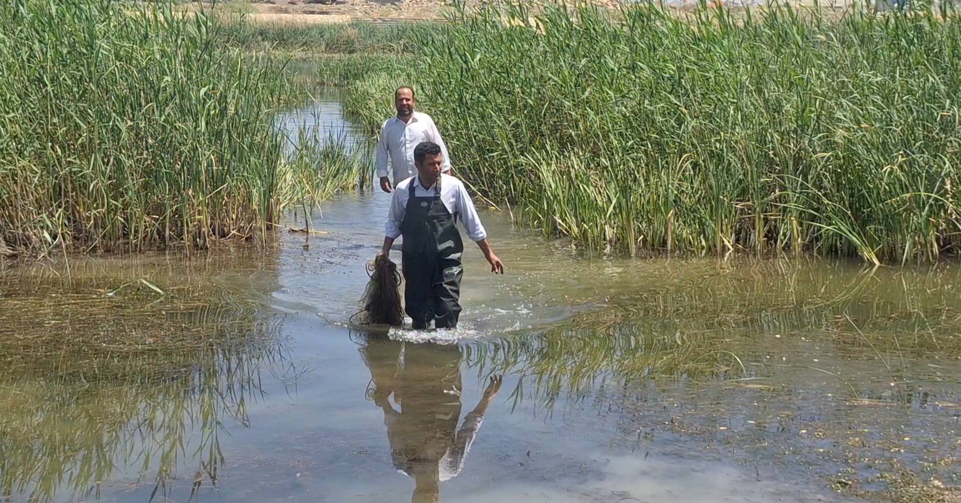 پیام آذری