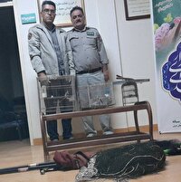 دستگیری متخلفین زنده‌گیری سهره طلایی در شاهین‌دژ