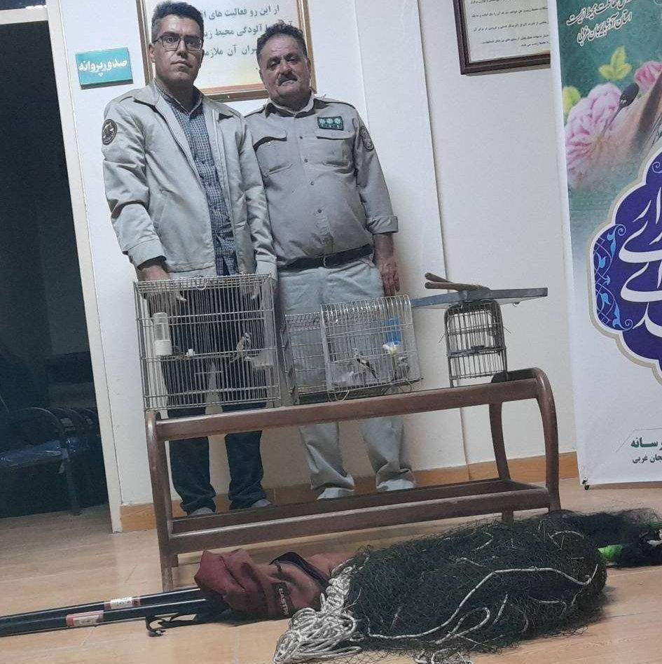 پیام آذری