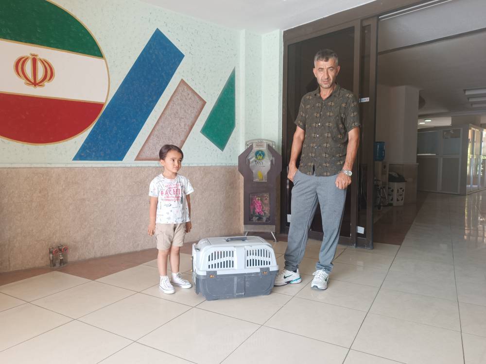 پیام آذری