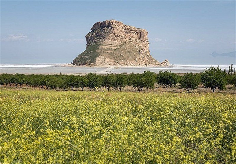 پیام آذری